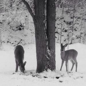 Meet your Posher, Sherry